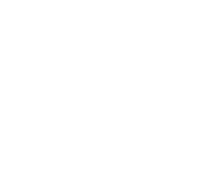 Nest Home Additions Logo